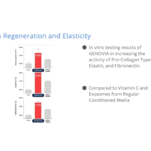 In Vitro Skin Regeneration and Elasticity