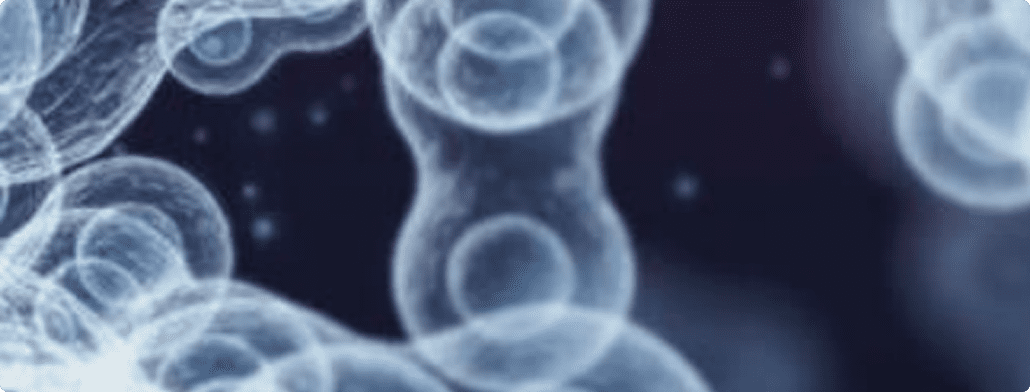 Microscopic view of exosome vesicles and cellular structures in deep navy blue