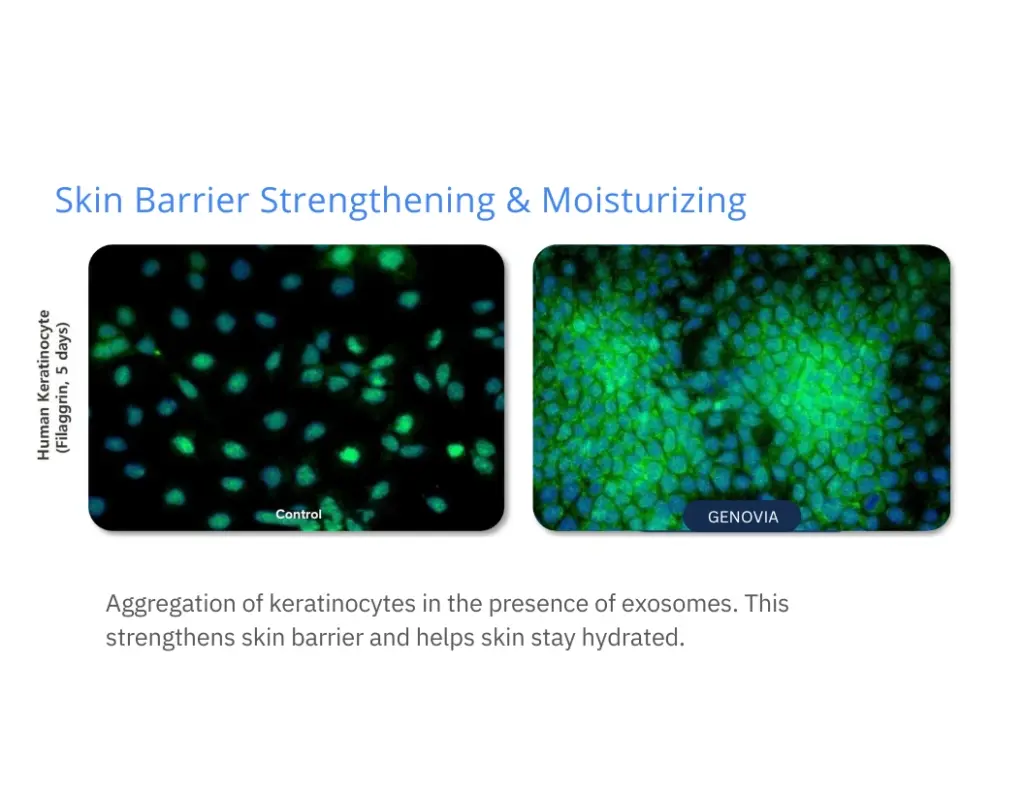 Skin Barrier Strengthening & Moisturizing Chart
