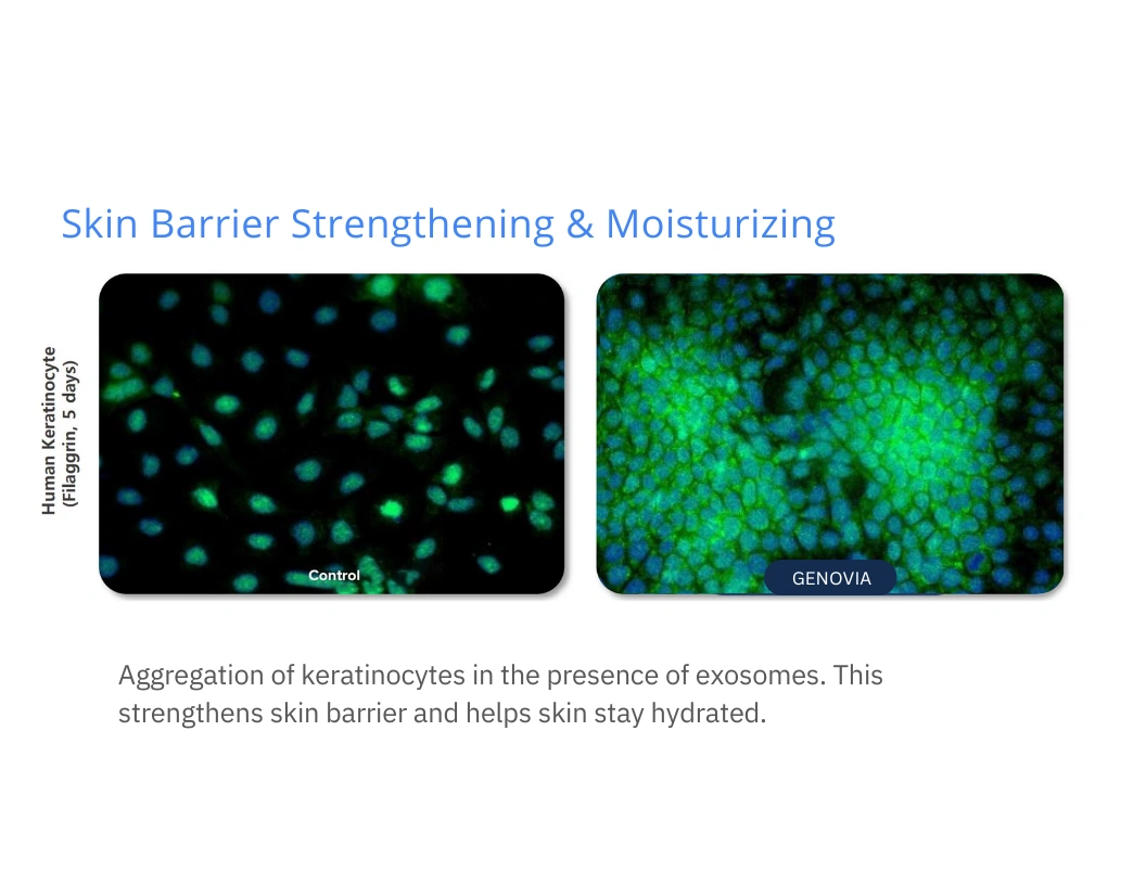 Skin Barrier Strengthening & Moisturizing Chart